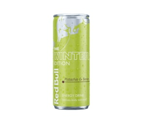 RED BULL WINTER NL 24X25CL BLIK